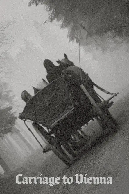 Carriage to Vienna