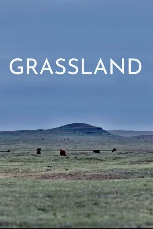 Grassland