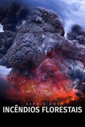 Depois dos Incêndios Florestais